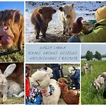 Farma Kaszuby, Z Alpakami- Z Lazienka *