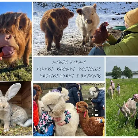 Alloggio per agriturismo Kaszuby, Z Alpakami- Z Lazienka *