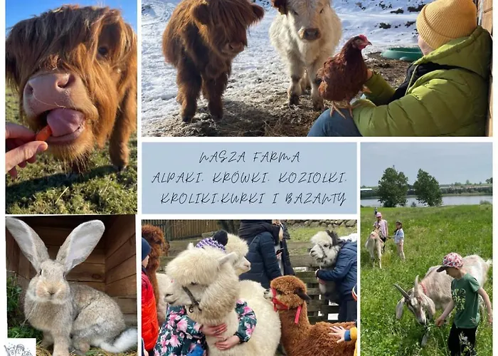 Bauernhof Kaszuby, Z Alpakami- Z Lazienka *